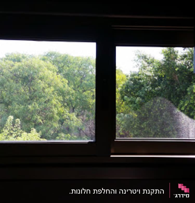 חלון אלומיניום עם נוף עצים ברקע